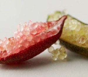 Caviale vegetale da agrume